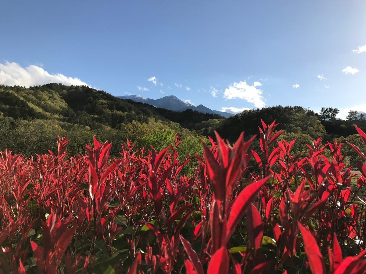 Alps Lodge & Spa Hokuto  Dış mekan fotoğraf